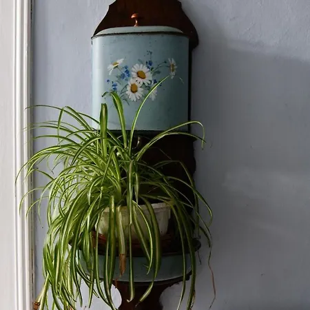 Etchevers-enia Suhescun