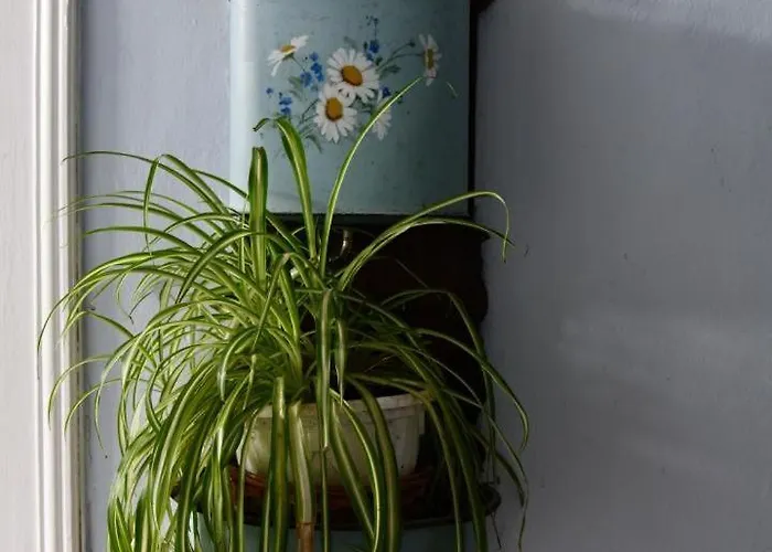 Etchevers-enia Suhescun